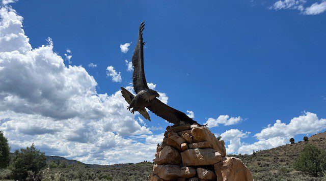 Big bird flying in the desert
